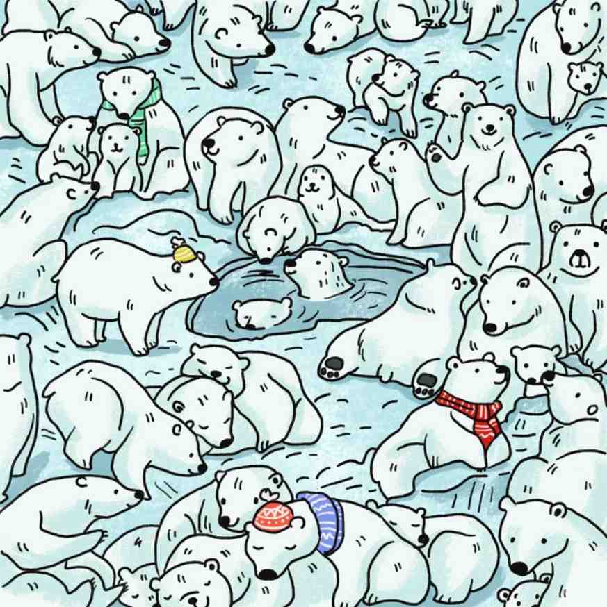 You have great eyesight if you can find the seal hidden among polar